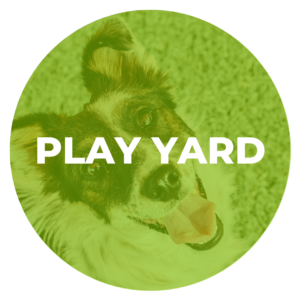 Play Yard