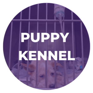 Puppy Kennel