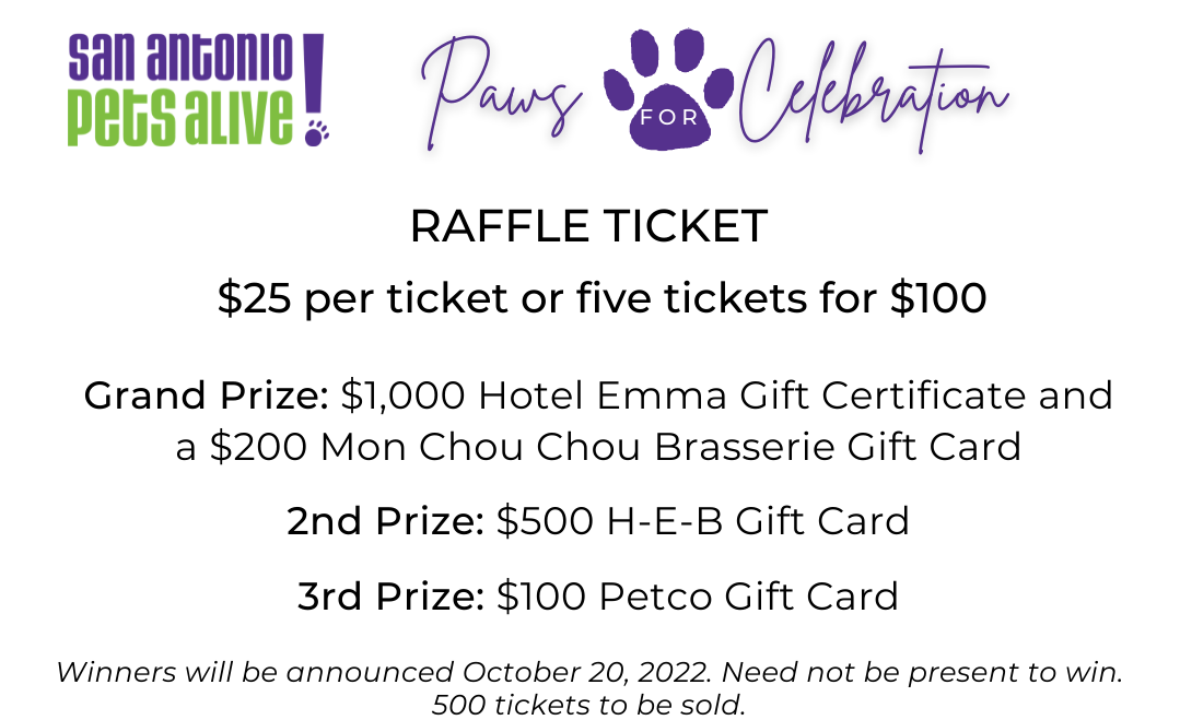 Raffle website
