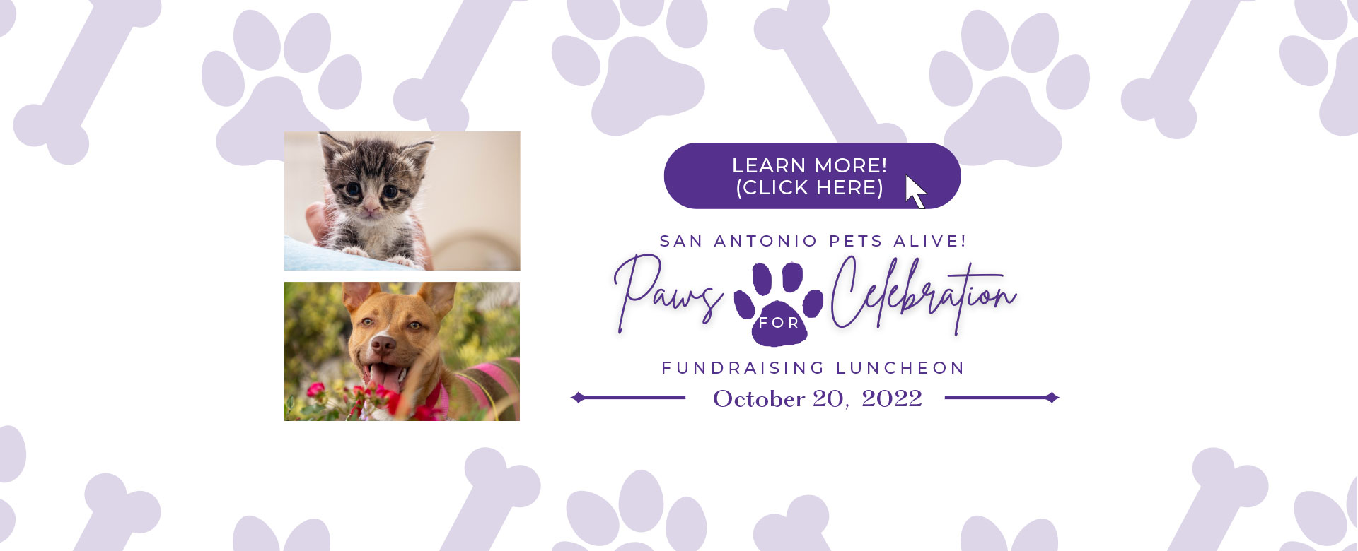 Paws for Celebration Fundraising Luncheon