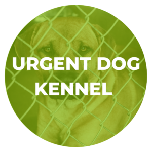 Urgent Dog Kennel